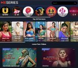 Screenshot of MXSeries for Full Site Review