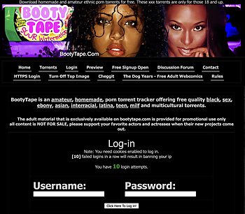 Screenshot of BootyTape for Full Site Review