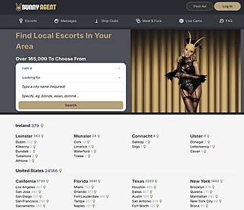 Screenshot of BunnyAgent for Full Site Review