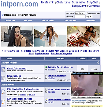 Screenshot of IntPorn for Full Site Review