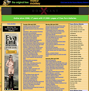 Screenshot of Voyeur Monkey for Full Site Review