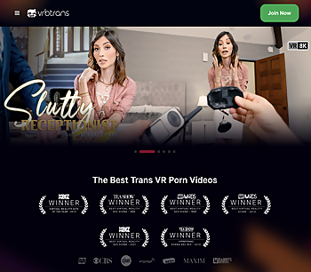 Screenshot of VRBTrans for Full Site Review